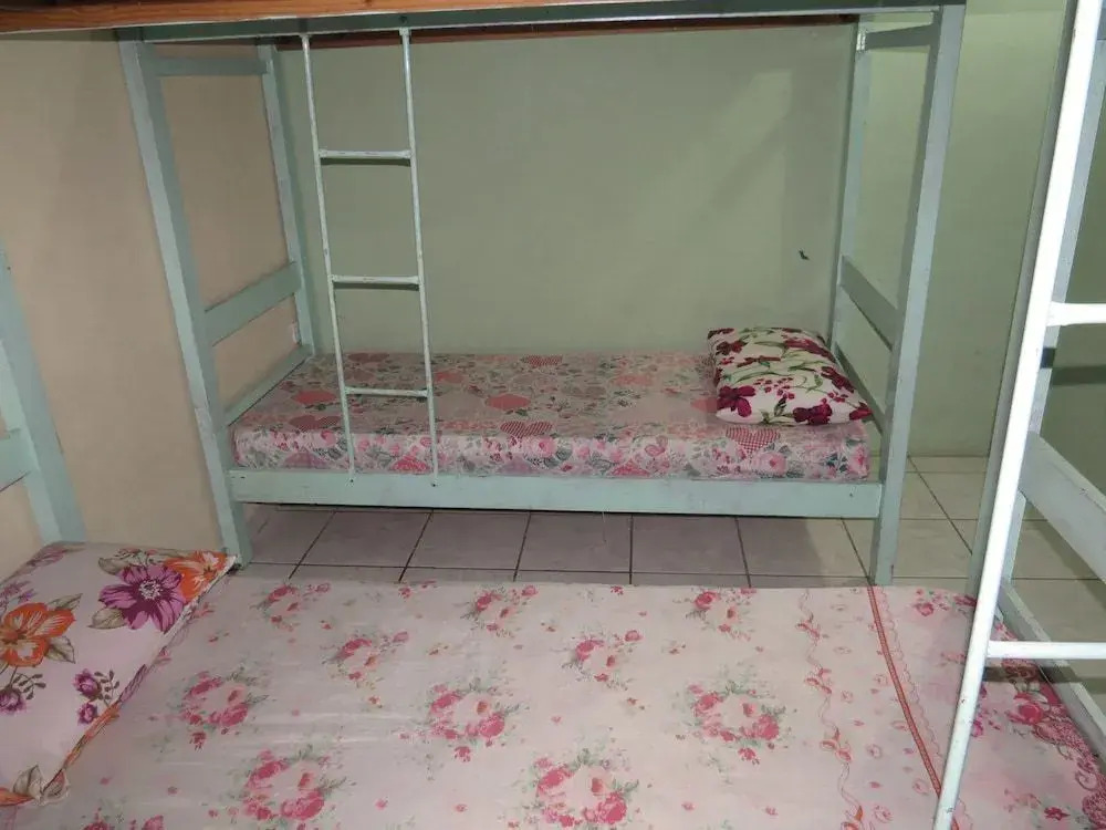 Livia Hostel Pousada