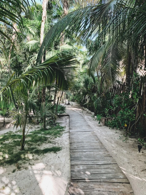 Hotel Locura Tulum-Adults Only