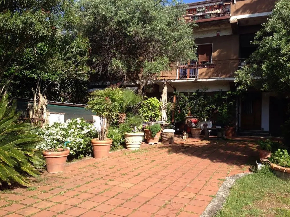 B&B Falcone
