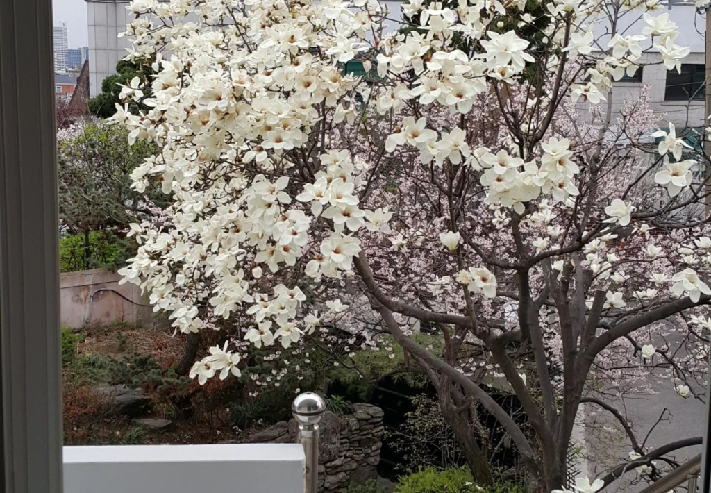 White Rabbit Guesthouse