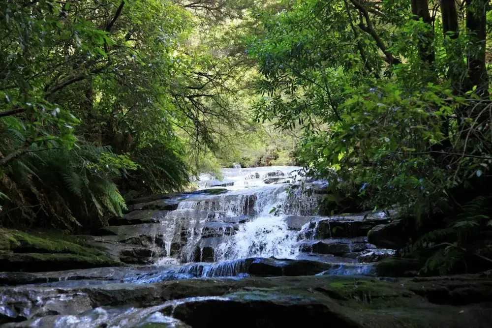Family Retreat In Top Blue Mountains Location