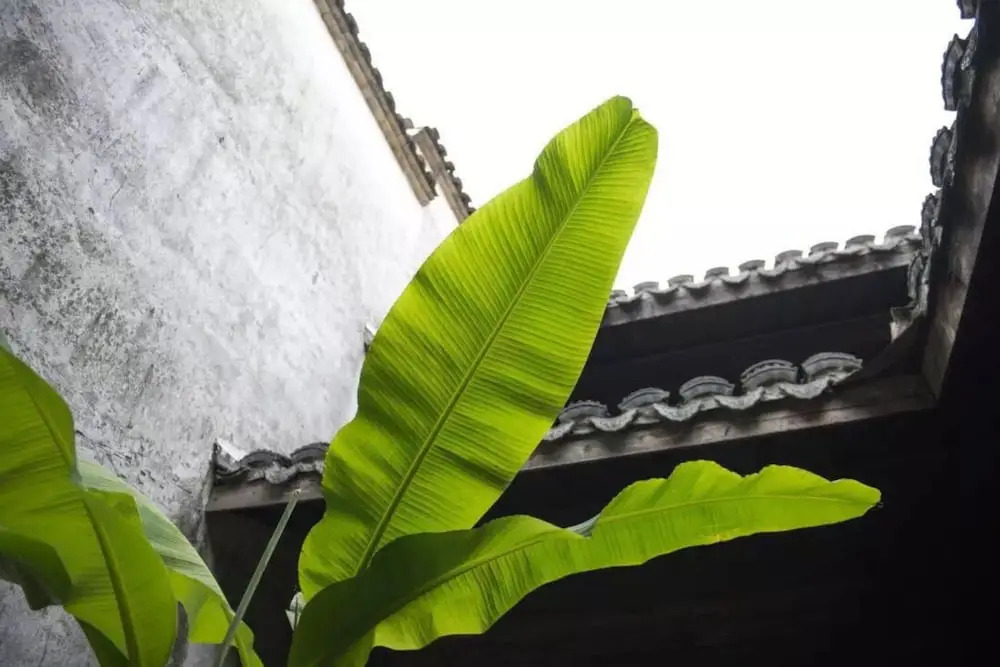 Hangzhou Utea Guesthouse