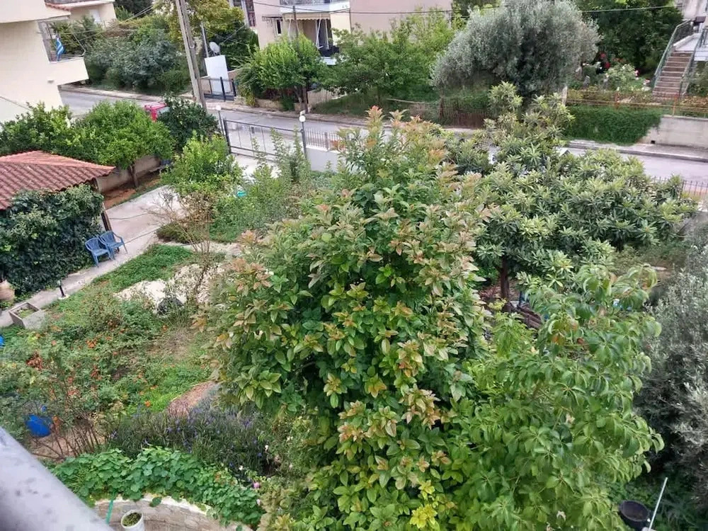 Pavlos Loft Apartment - Leontari Garden Escape