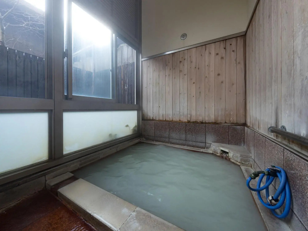 Hotel Seiunso