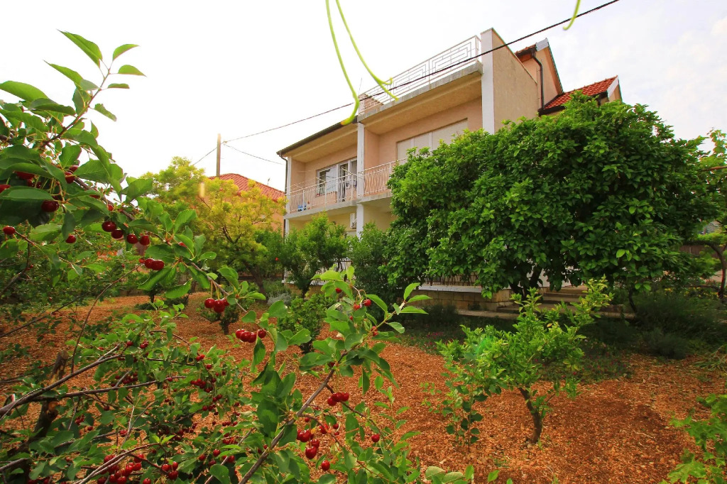 Apartment Anica