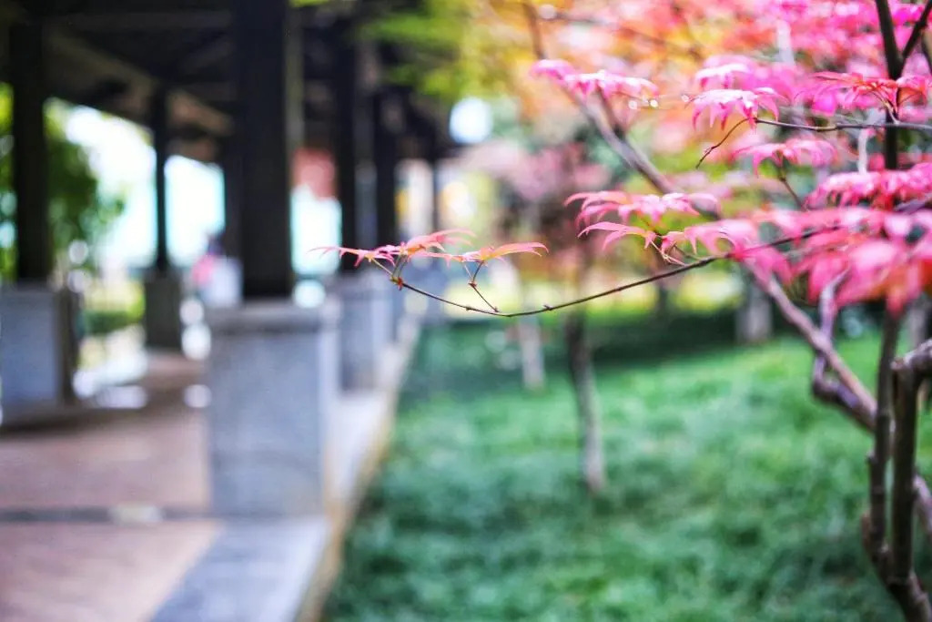 Jinling Riverside Hotel Nanjing