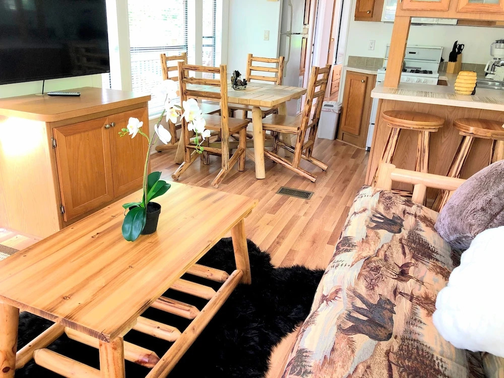 Mountain Cabin 580