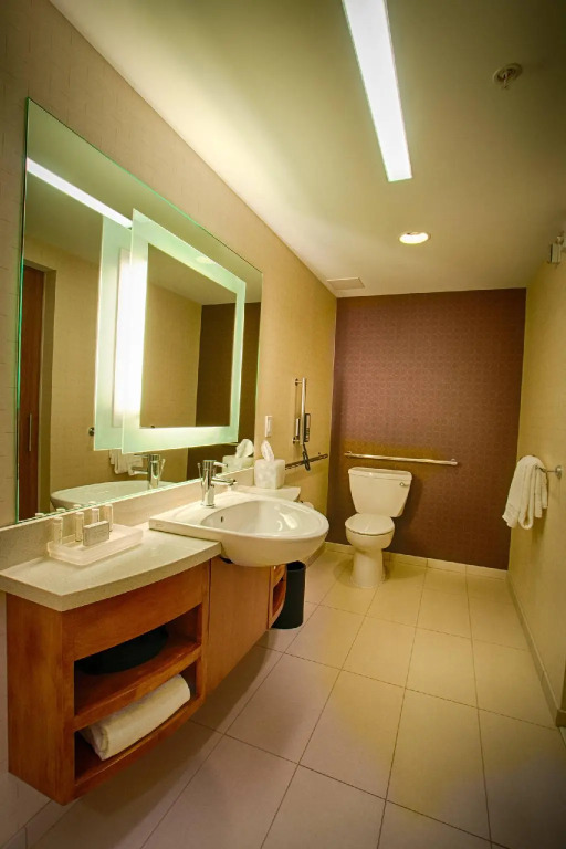 SpringHill Suites by Marriott Canton