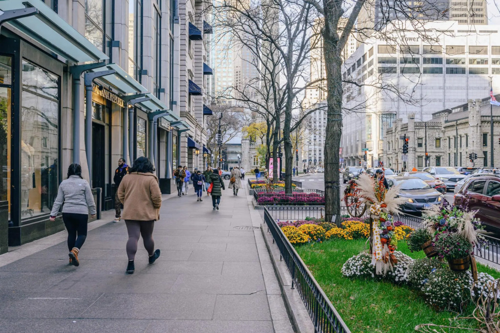 Chicago | King Bed Studio Near Loyola, Red Line + Shopping