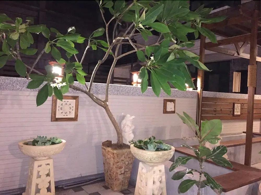 墾丁峇里散散步10至18人包棟五間房 烤肉Ktv麻將 加Line 前面需加小老鼠203hnuqk