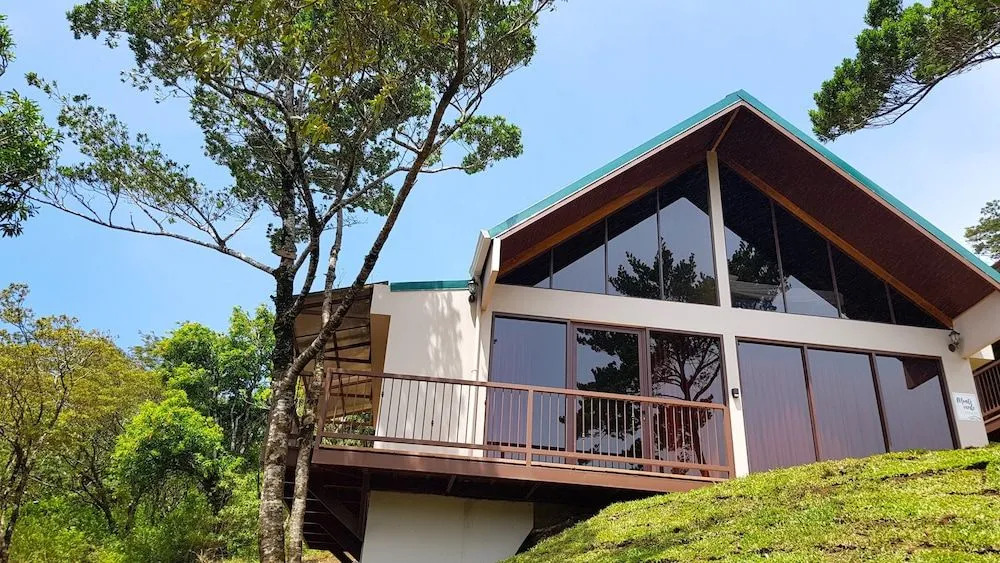 Green Forest Vacations Homes