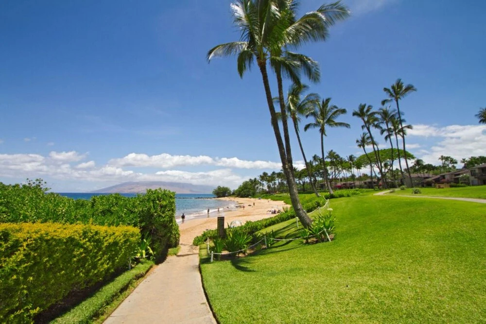 Wailea Elua #1509 by Ali'i Resorts