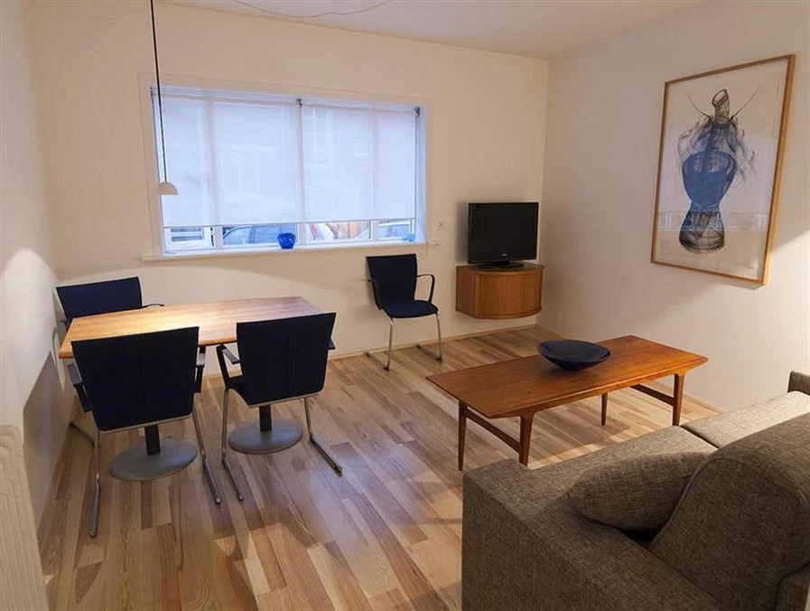 Reykjavik Central Apartments