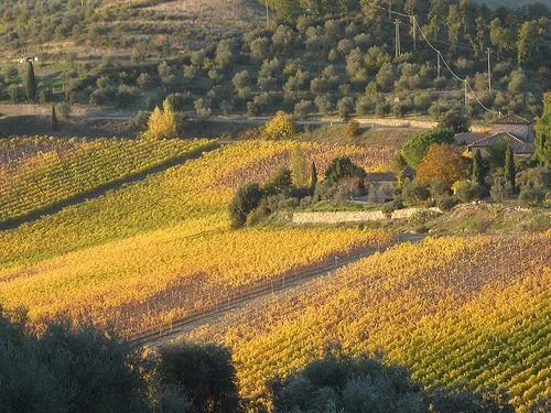 Casina al Vento