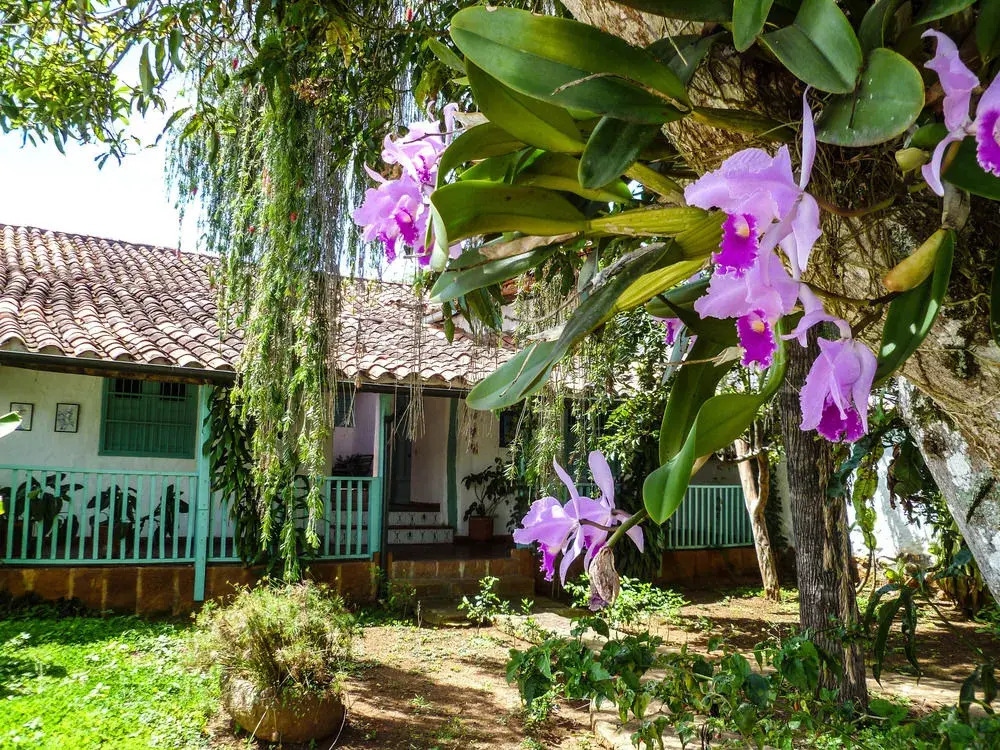 Hotel Mision Santa Barbara