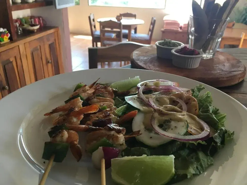 El Jardin de la Vida