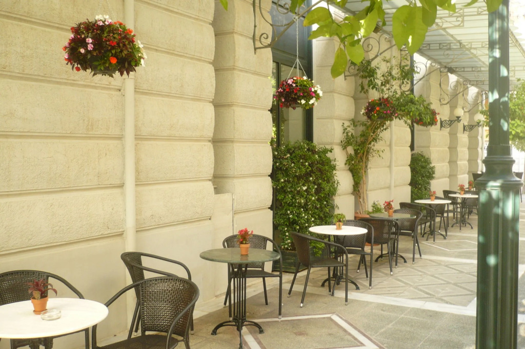 Rex Hotel
