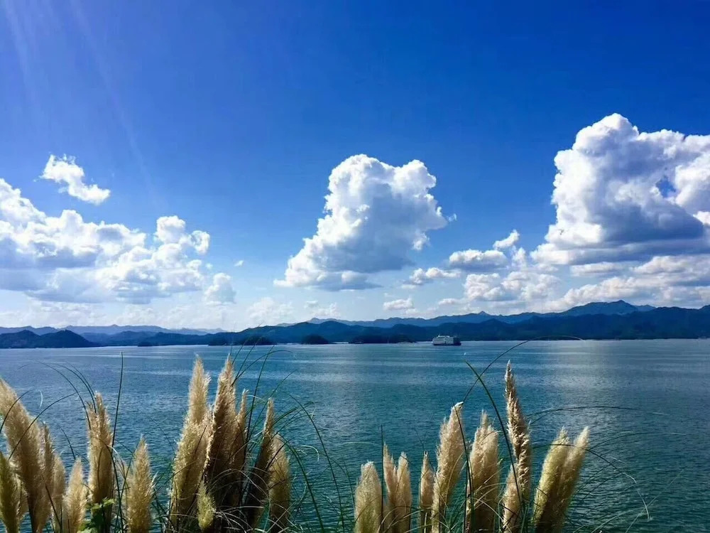 Romaine Vacation Apartment