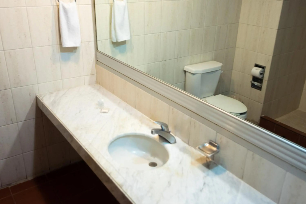 Hotel Fenix
