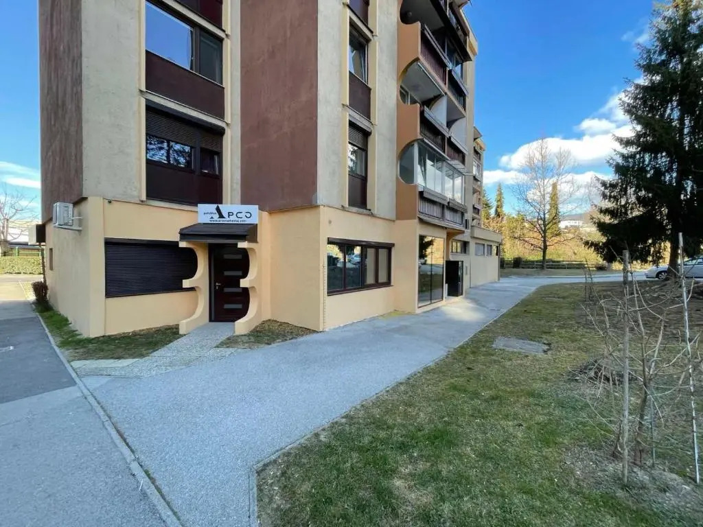 Delux apartment ARSO