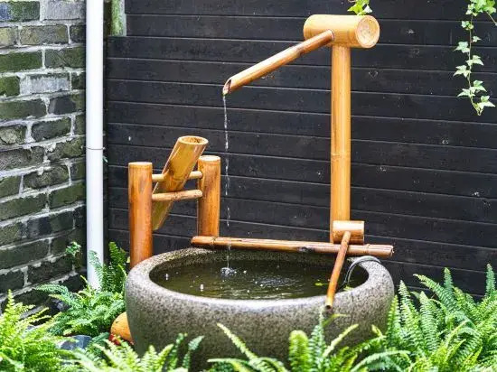 City Courtyard Homestay