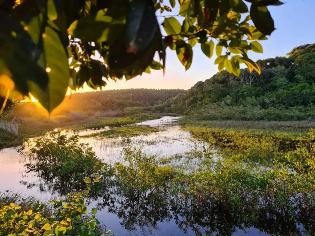 Manoá Eco Villa