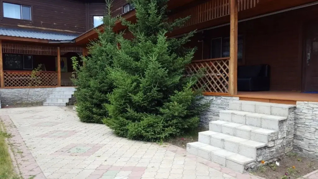 Евразия Делюкс