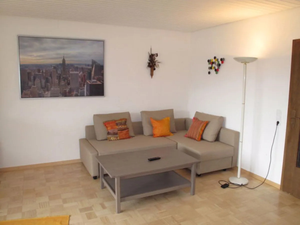 Apartment  Friesenheim