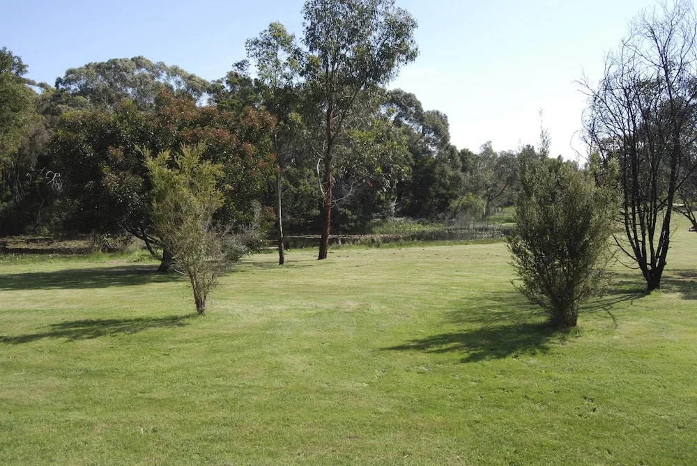 Bellbrae Harvest