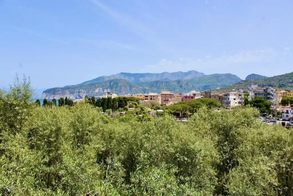 Casa Athena