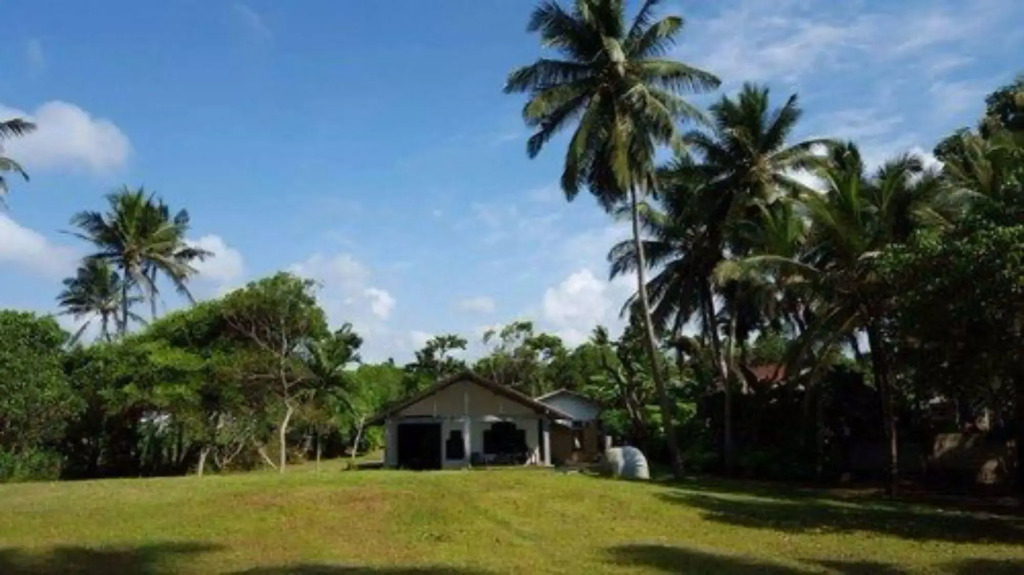 Ocean Cottage - Tangalle