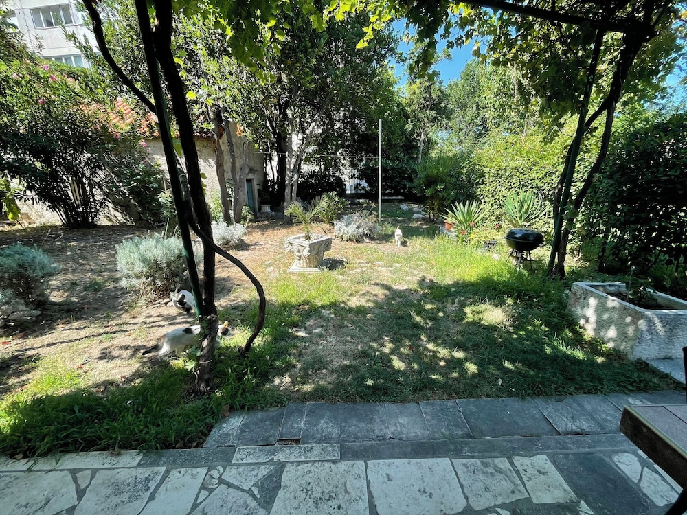 Apartments Jugo i bura