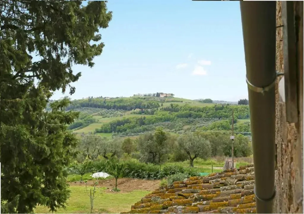 Chiantihouse near Florence