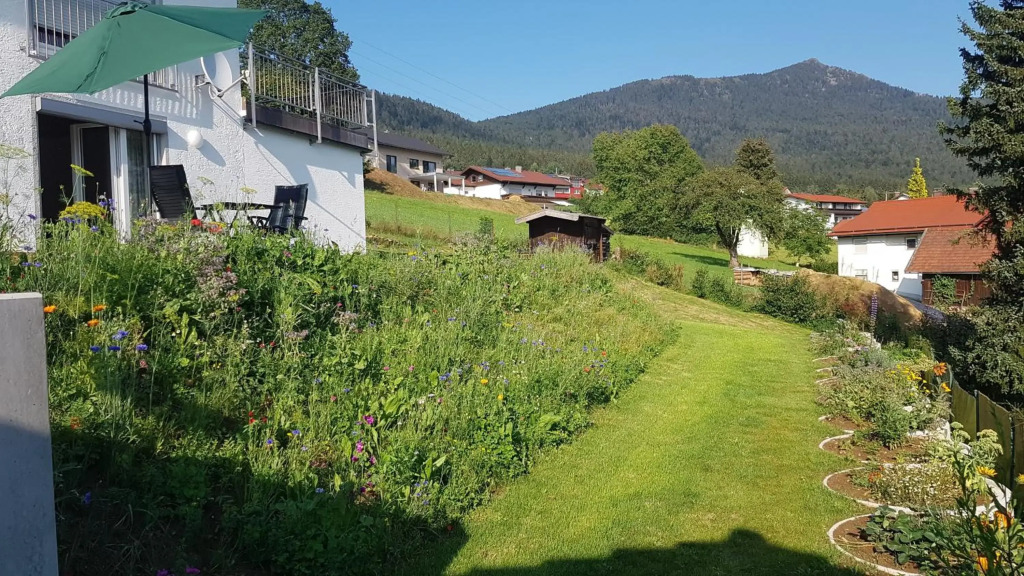 Wohnung Wiesengrün - Osserblick