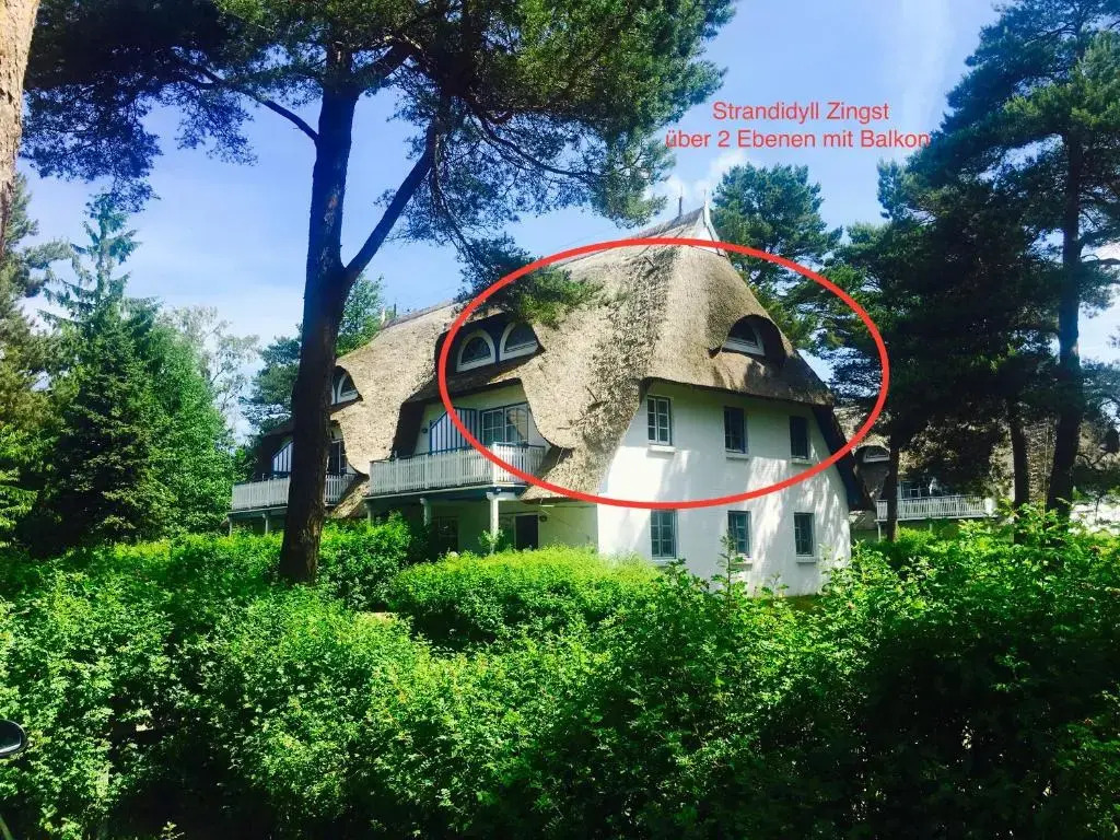 Maisonette-Fewo unter Reet, 50m zum Meer, Strandidyll Zingst