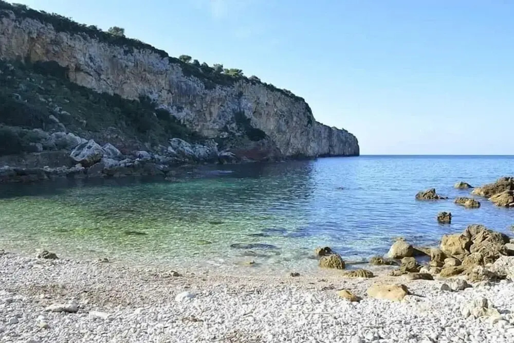 Cocciu d'amuri