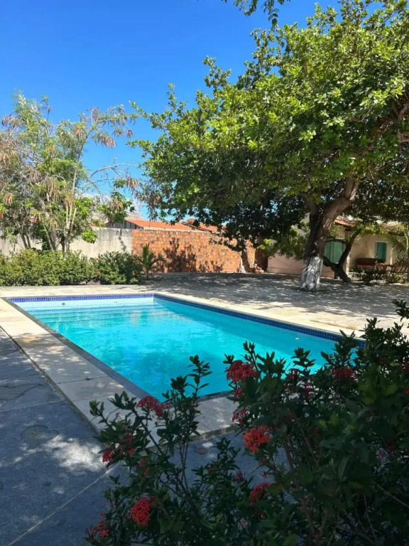 Toca do guaxinim