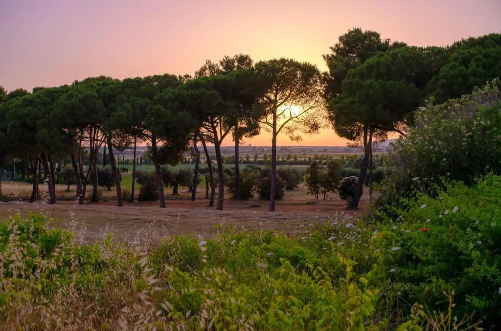 Antica Fattoria La Parrina