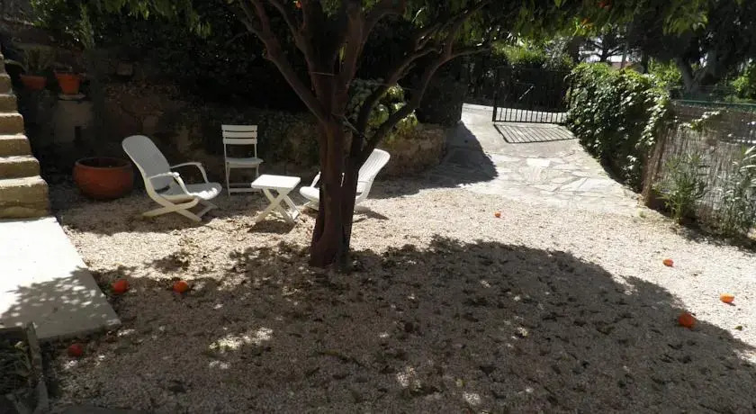 Le Pin Parasol