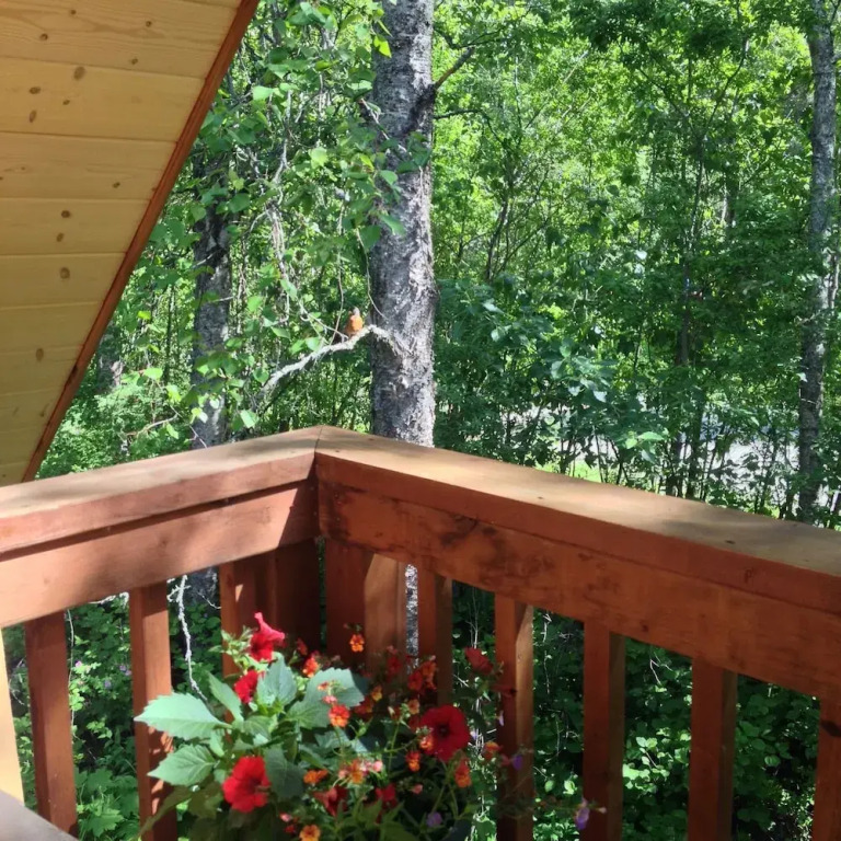 Loft Cabin