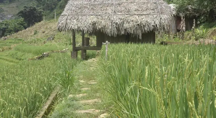 Hmong Mountain Retreat