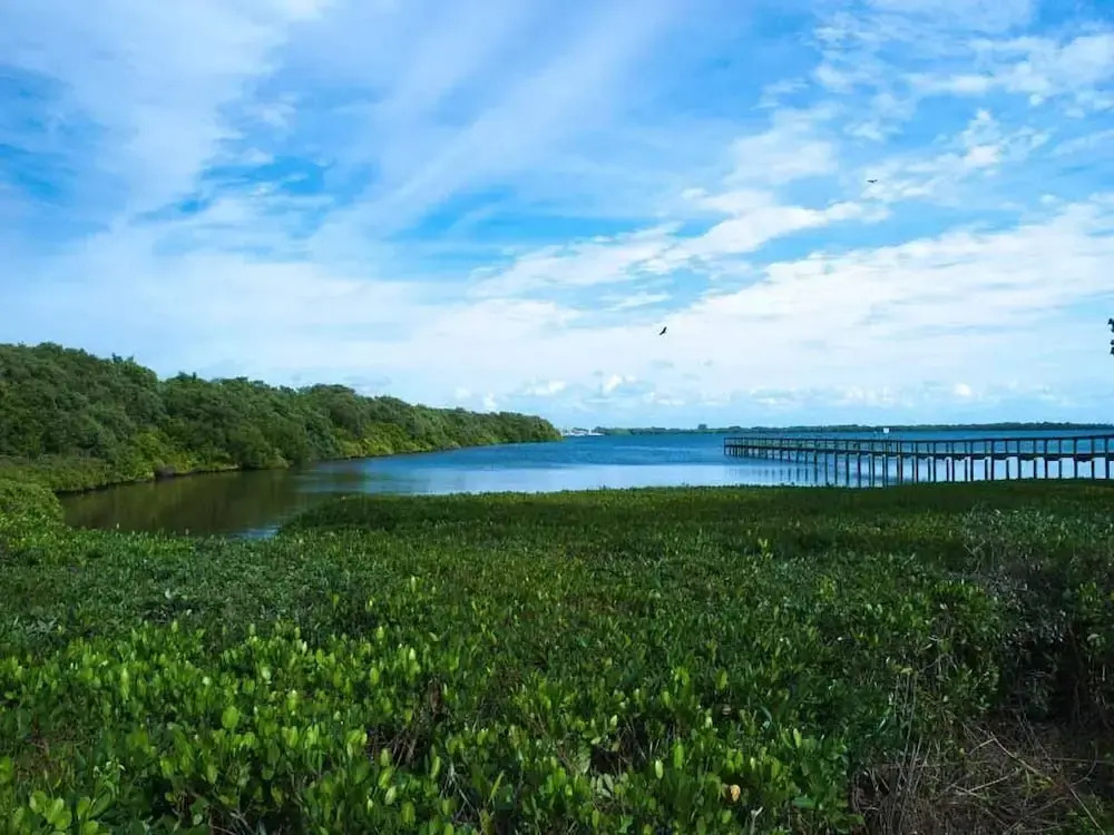 Westbay Cove South 745