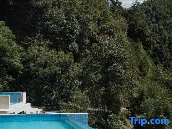 Heart of Forest Homestay