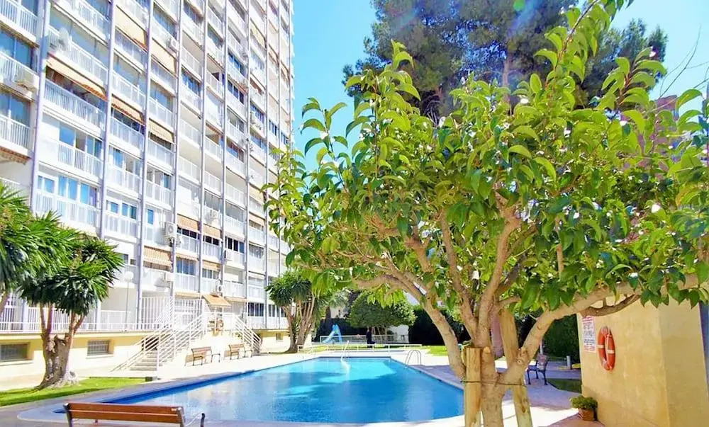 Albatros Apartment