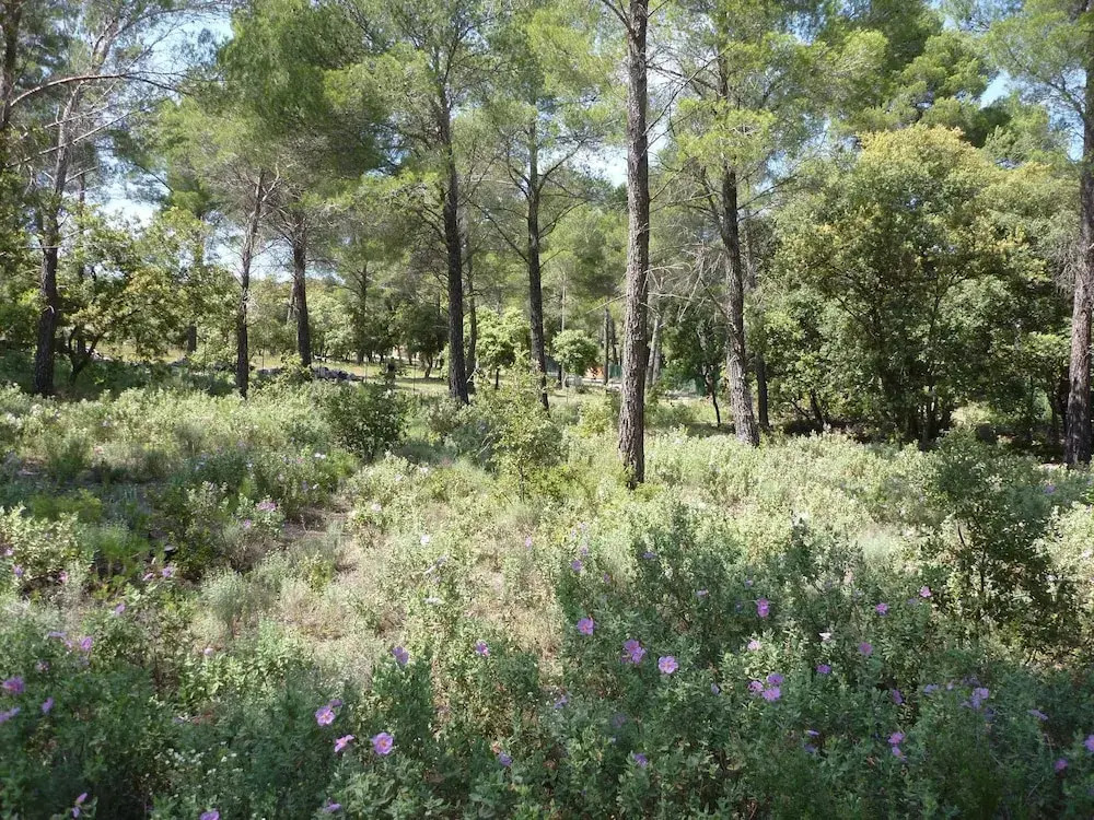 House With one Bedroom in Saint-marc-jaumegarde, With Pool Access, Enc