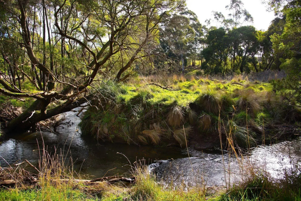 Green Gully House - a scenic country retreat