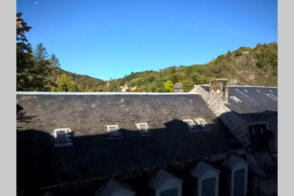 Apt T2 41m2 Wifi 2* 4-6 Pers. la Bourboule