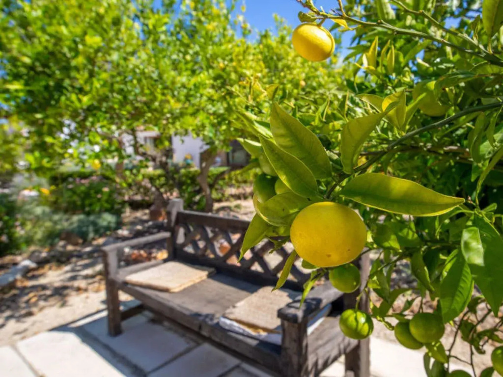 Villa Villa Finca Labranza by Interhome