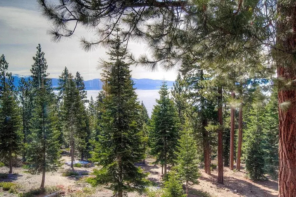 Timber View Lodge by Lake Tahoe Accommodations