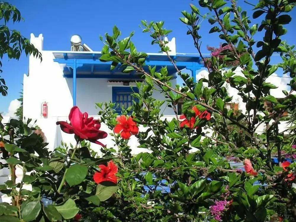 Studios Tasia